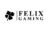 FelixGaming Bockenheim Slots
